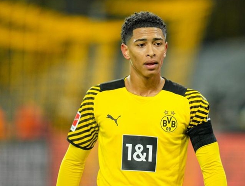 综合运用 综合运用