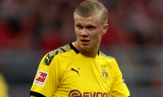 正是他们近 正是他们近