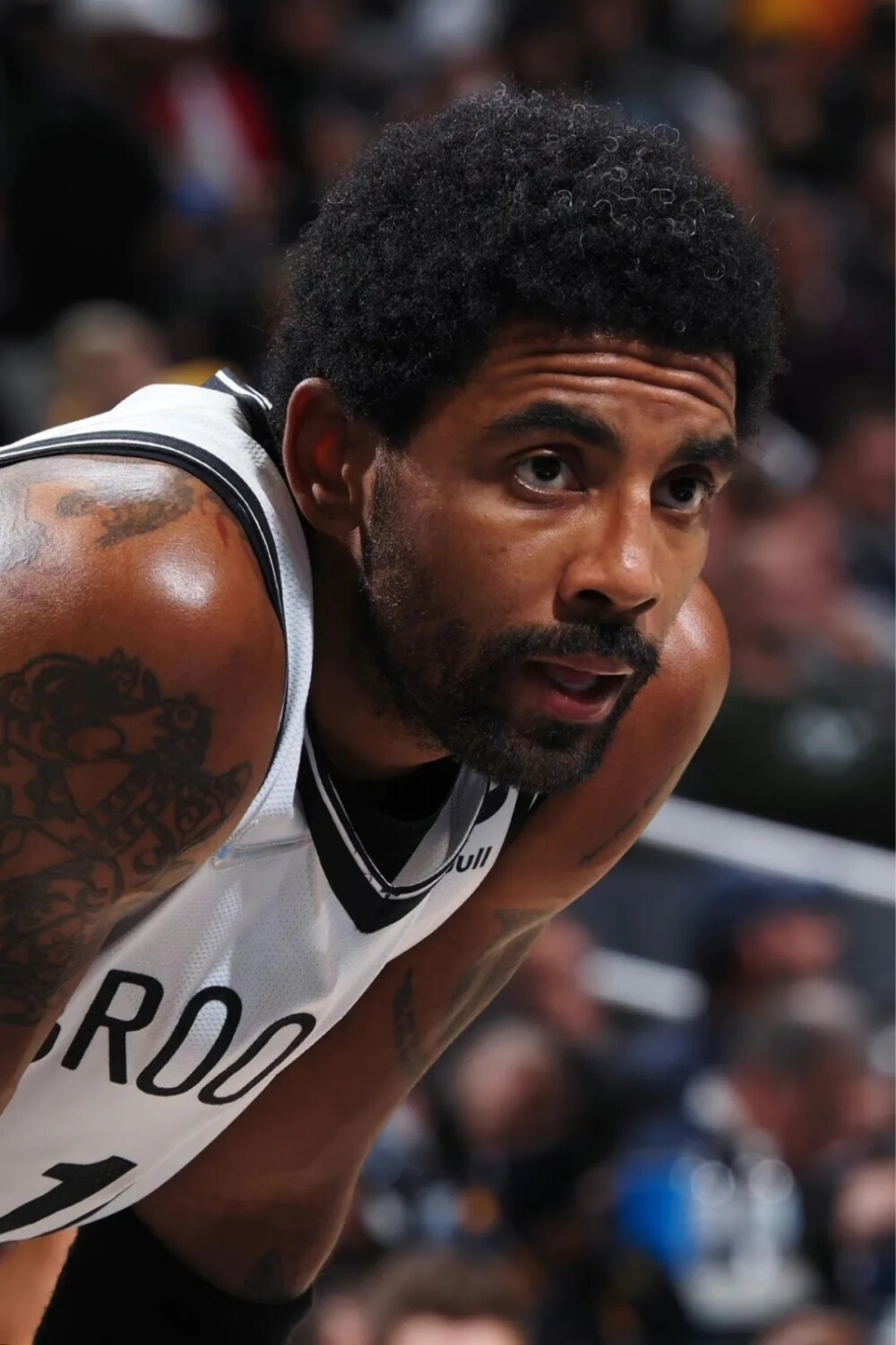 度和关键场 度和关键场