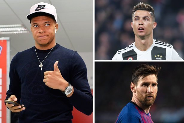 顶与肘区加 顶与肘区加